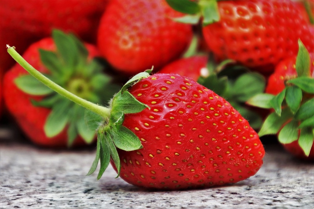 草莓-有机草莓